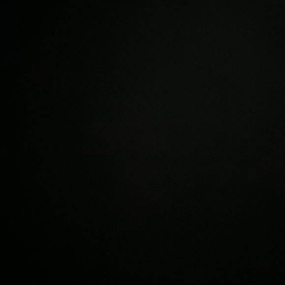 Meet your Posher, Amy - Picture 1 of 1